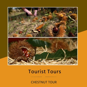 Chestnut tour